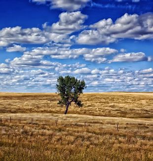 South Dakota prairie. CC0